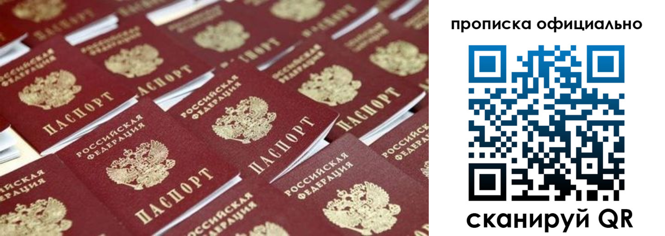 прописка гарантия в Обояни